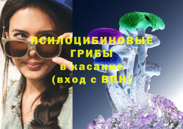 мдпв Приозерск