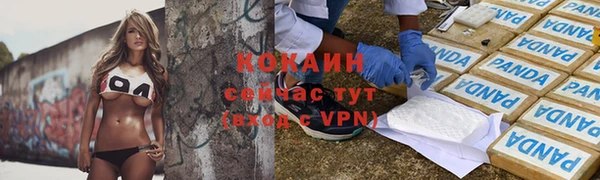 крисы Алзамай